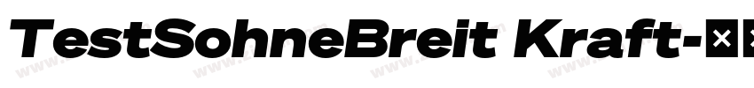 TestSohneBreit Kraft字体转换